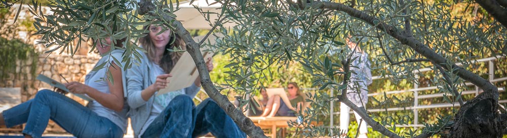 Guests drawing under the olive trees during an Artful Retreats art retreat at Bleverde, Crete