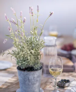 Lavender and a glass of white wine on the dining table at Villa Levanda