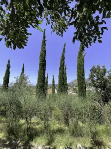 Villa Elia at Bleverde, Gavalochori, Crete