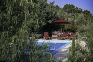 Villa Levanda's private saltwater pool and sun loungers seen through the garden
